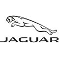 Jaguar Jaguar